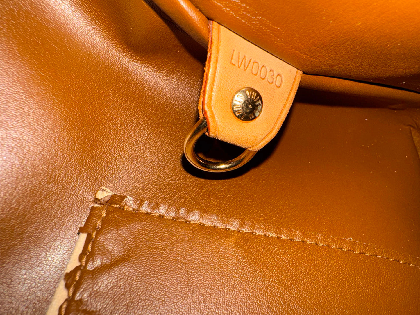Louis Vuitton Houston Vernis Hand Bag