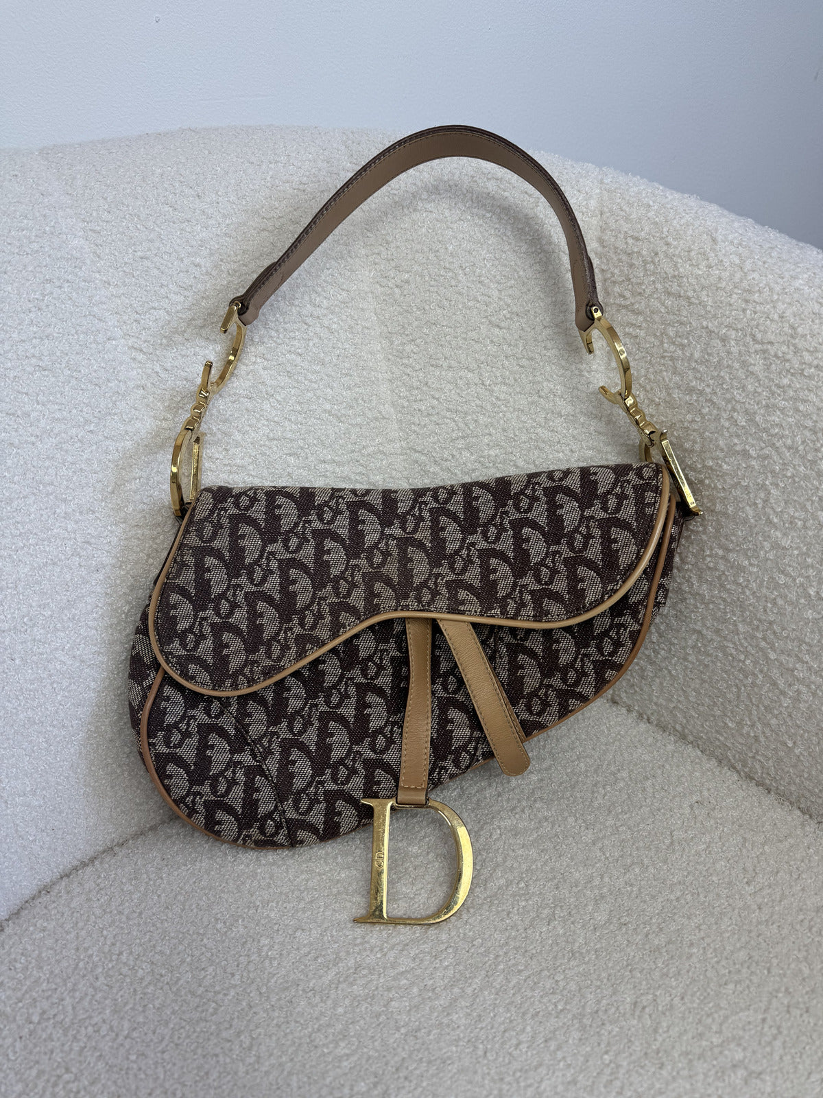 Dior Trotter Saddle Bag