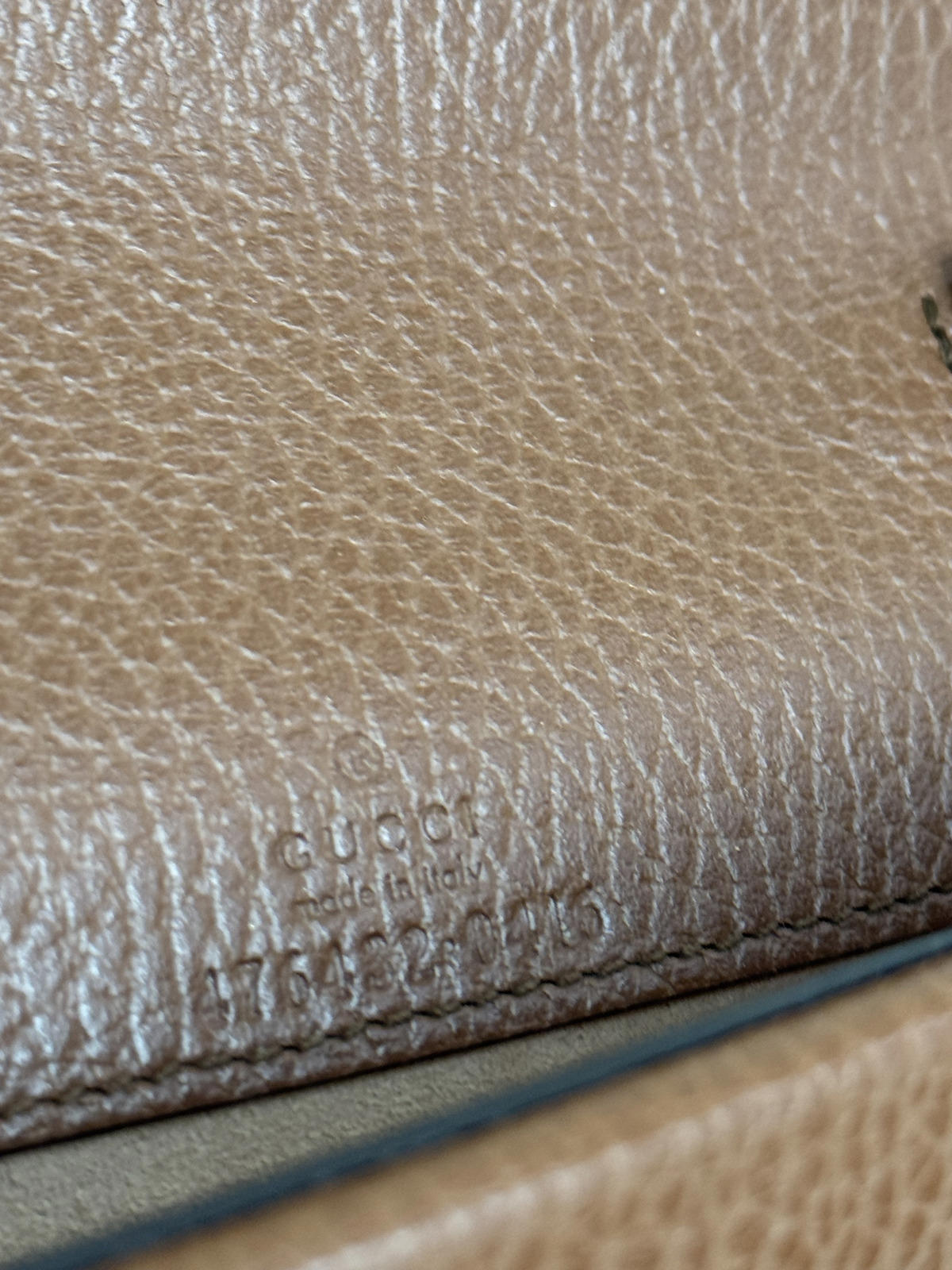 Gucci Dionysus Denim